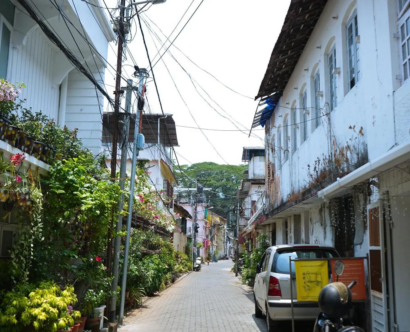 Alloggio in famiglia Mother Tree Inn Kochi