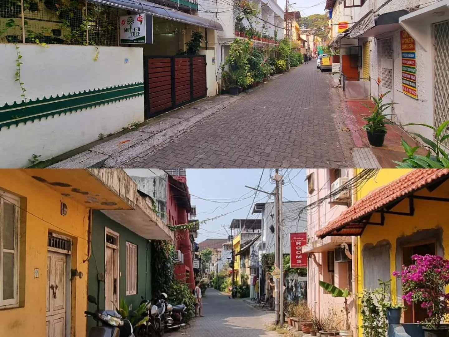 홈스테이 Mother Tree Inn Kochi