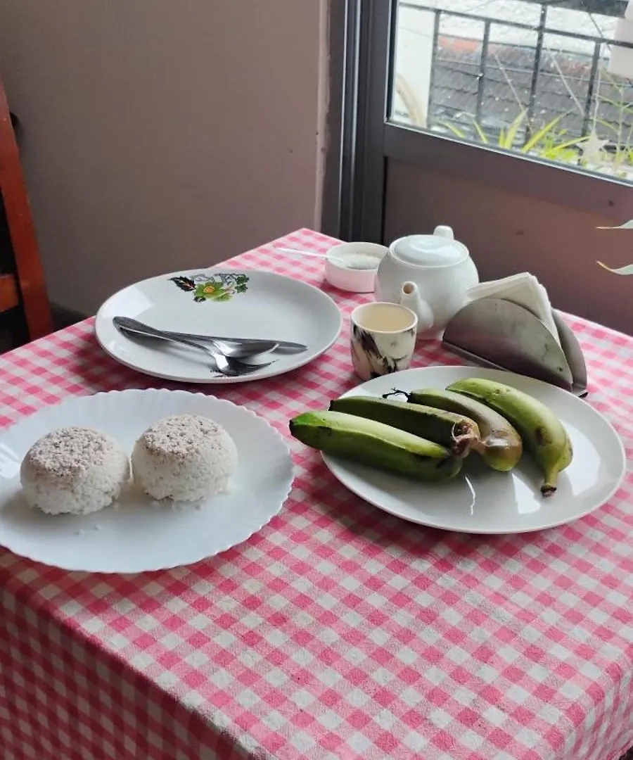 Mother Tree Inn Kochi 홈스테이